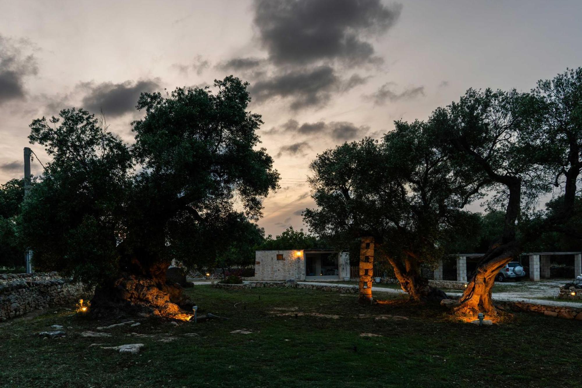 Masseria Della Piana Villanova di Ostuni Eksteriør billede